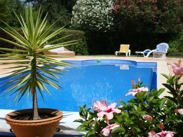 Cost of Pool Terrace Renovation in Nampa