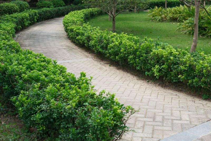 Paver Pathway